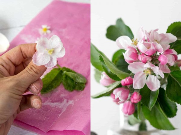 Frischkäse-Erdbeerkuchen und kandierte Blüten › heimgemacht - Blog